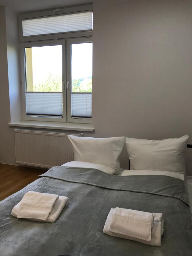 Cristal Apartament Krynica - Zdroj المظهر الخارجي الصورة