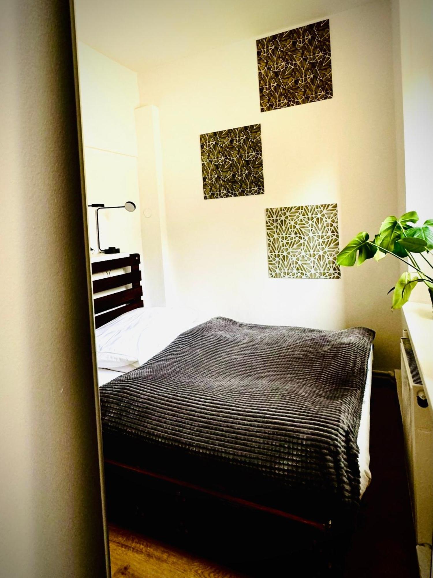 Cristal Apartament Krynica - Zdroj المظهر الخارجي الصورة
