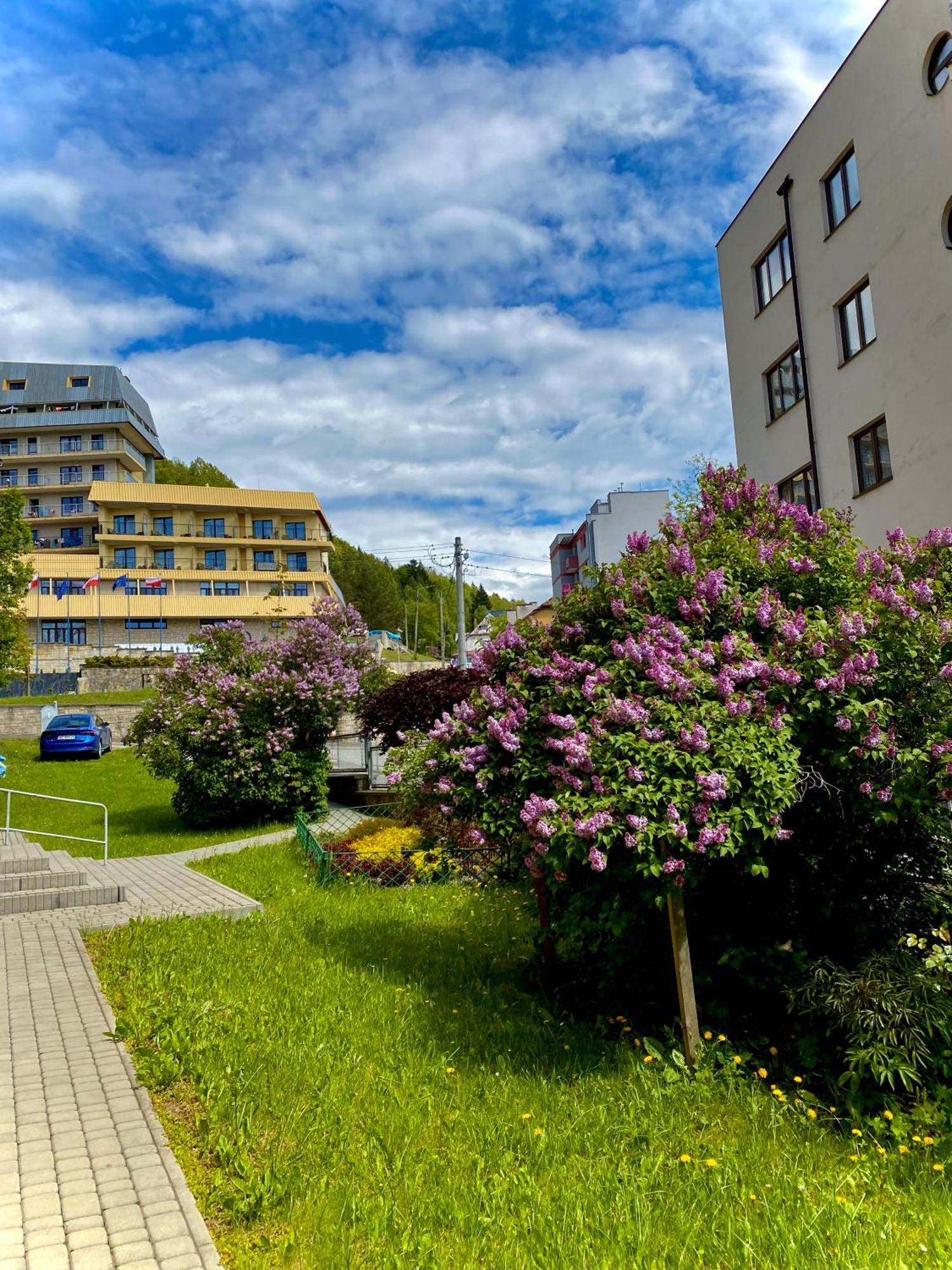 Cristal Apartament Krynica - Zdroj المظهر الخارجي الصورة